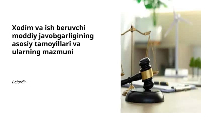 Moddiy javobgarlikning asosiy tamoyillari va ularning mazmuni