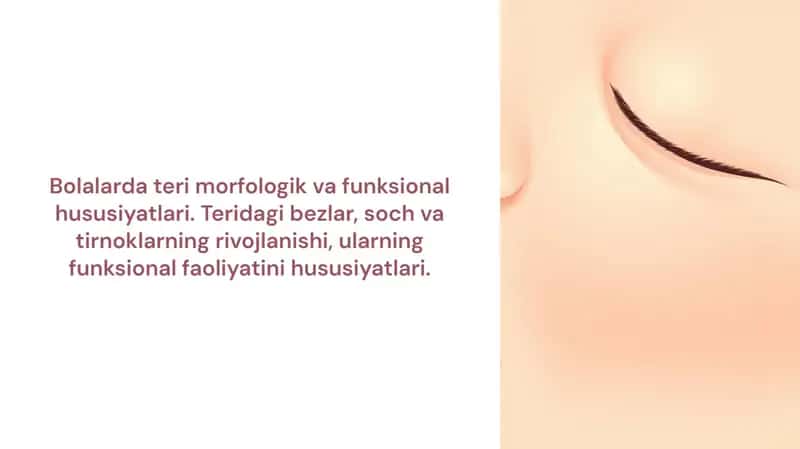 Bolalarda teri morfologik va funksional hususiyatlari. Teridagi bezlar, soch va tirnoklarning rivojlanishi, ularning funksional faoliyatini hususiyatlari.
