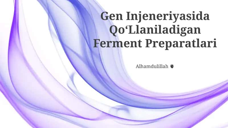 Ferment Preparatlari