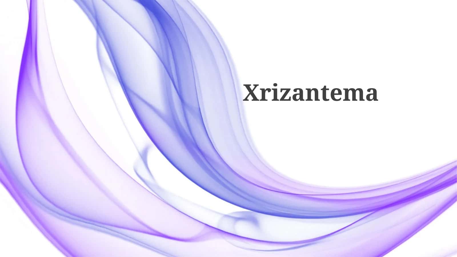 Xrizantema