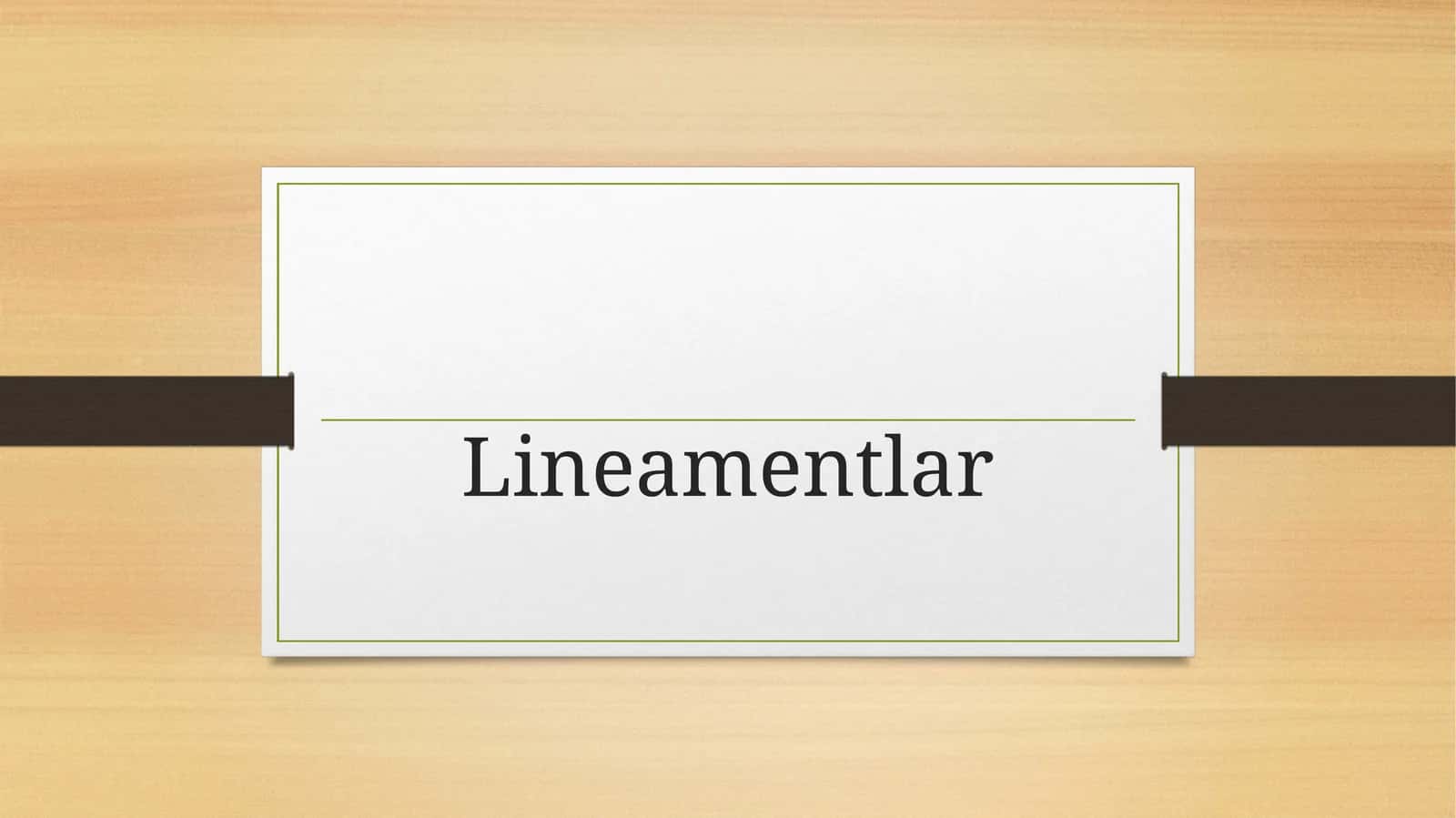 Lineamentlar
