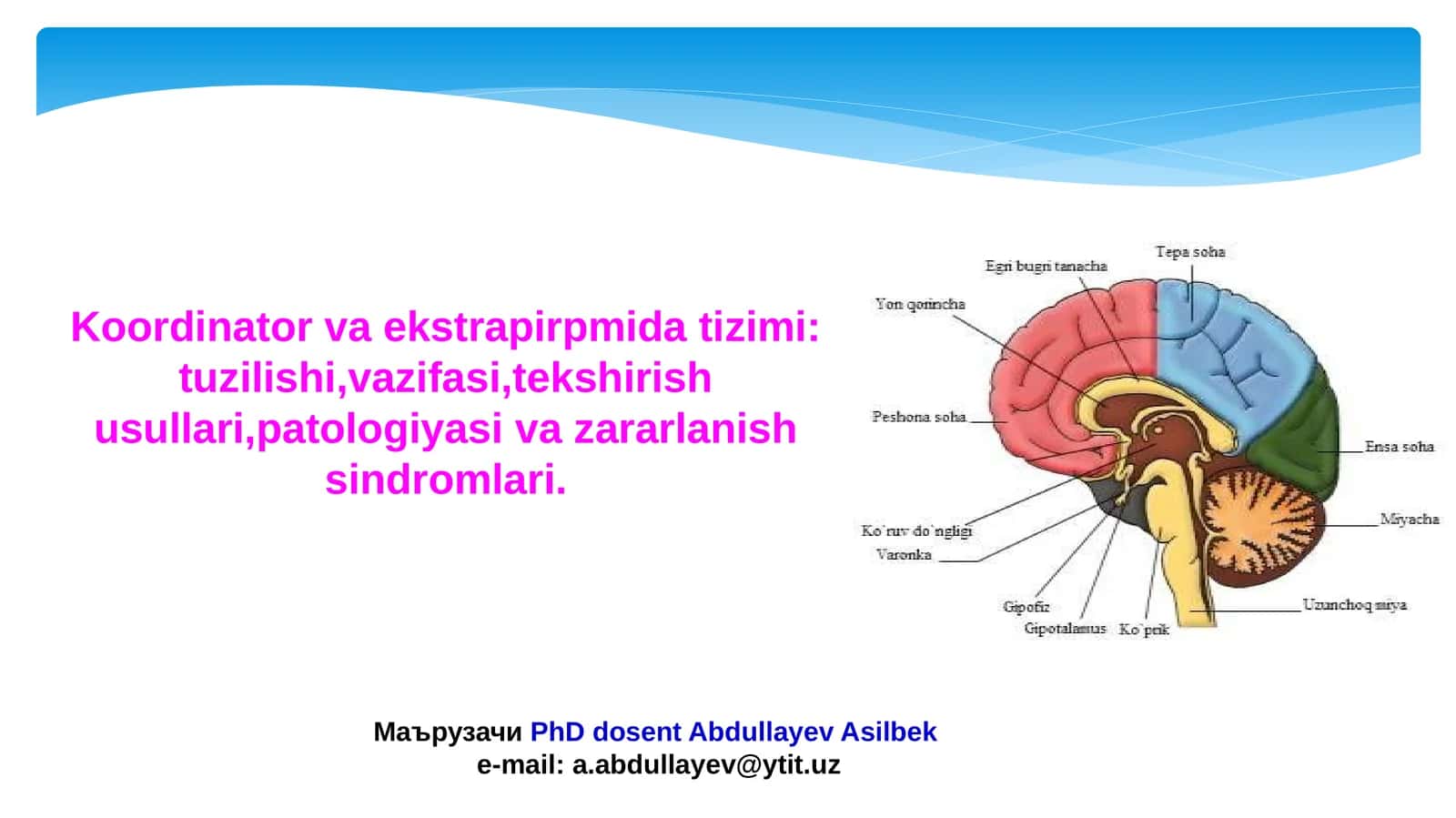 Koordinator va ekstrapirpmida tizimi: tuzilishi,vazifasi,tekshirish usullari,patologiyasi va zararlanish sindromlari