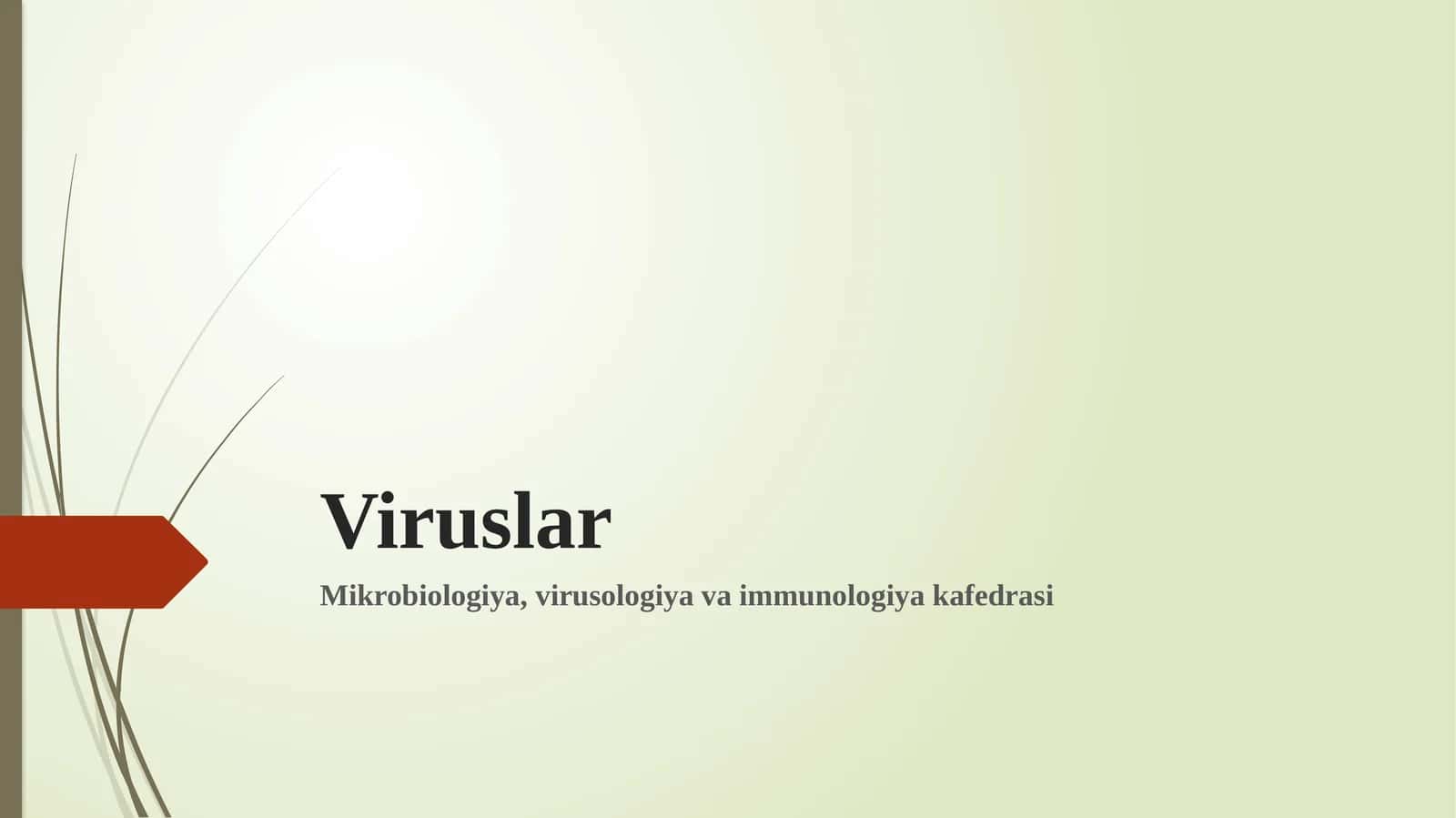 Viruslar