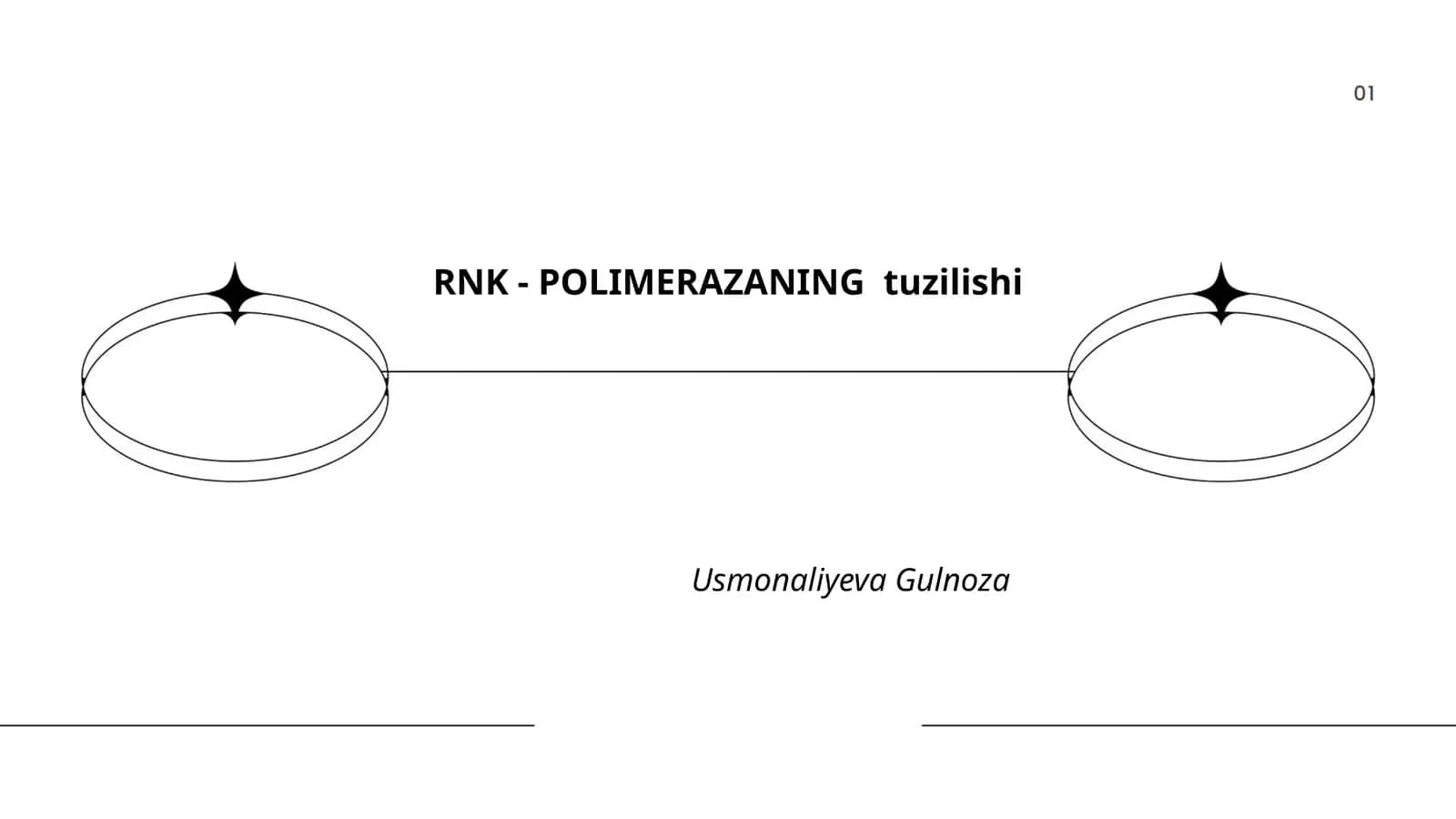 RNK - POLIMERAZANING tuzilishi