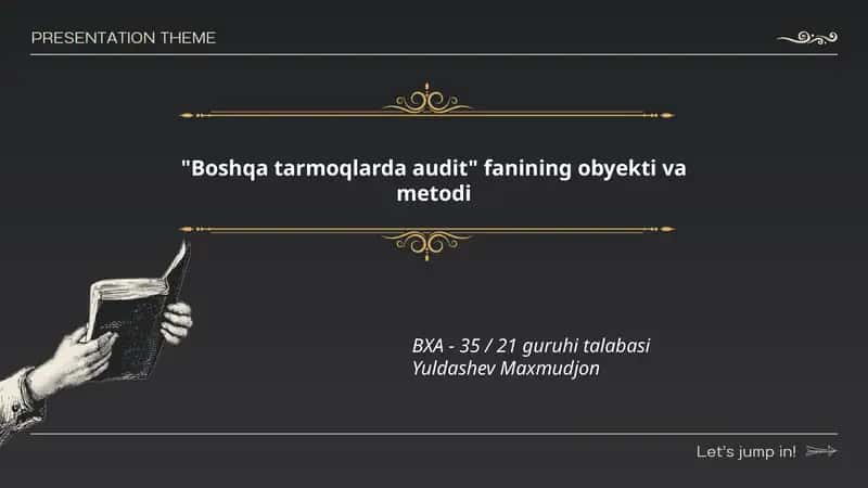Boshqa tarmoqlarda audit
