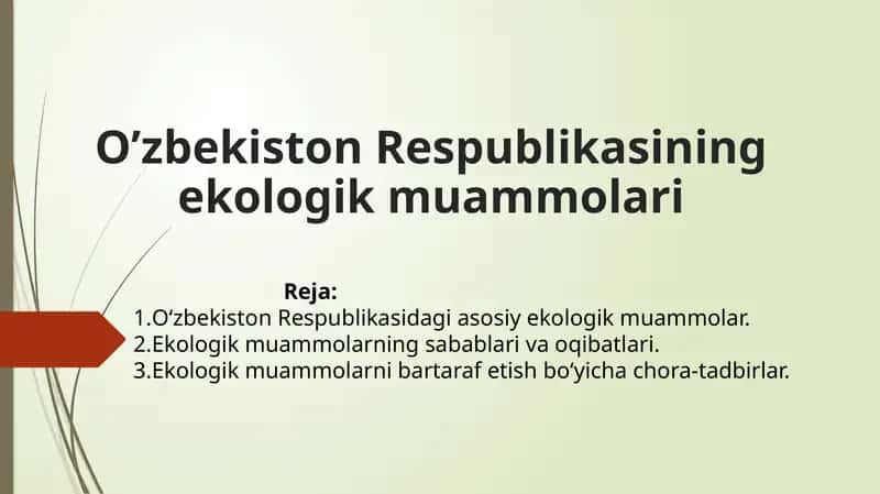O‘zbekiston Respublikasining ekologik muammolari
