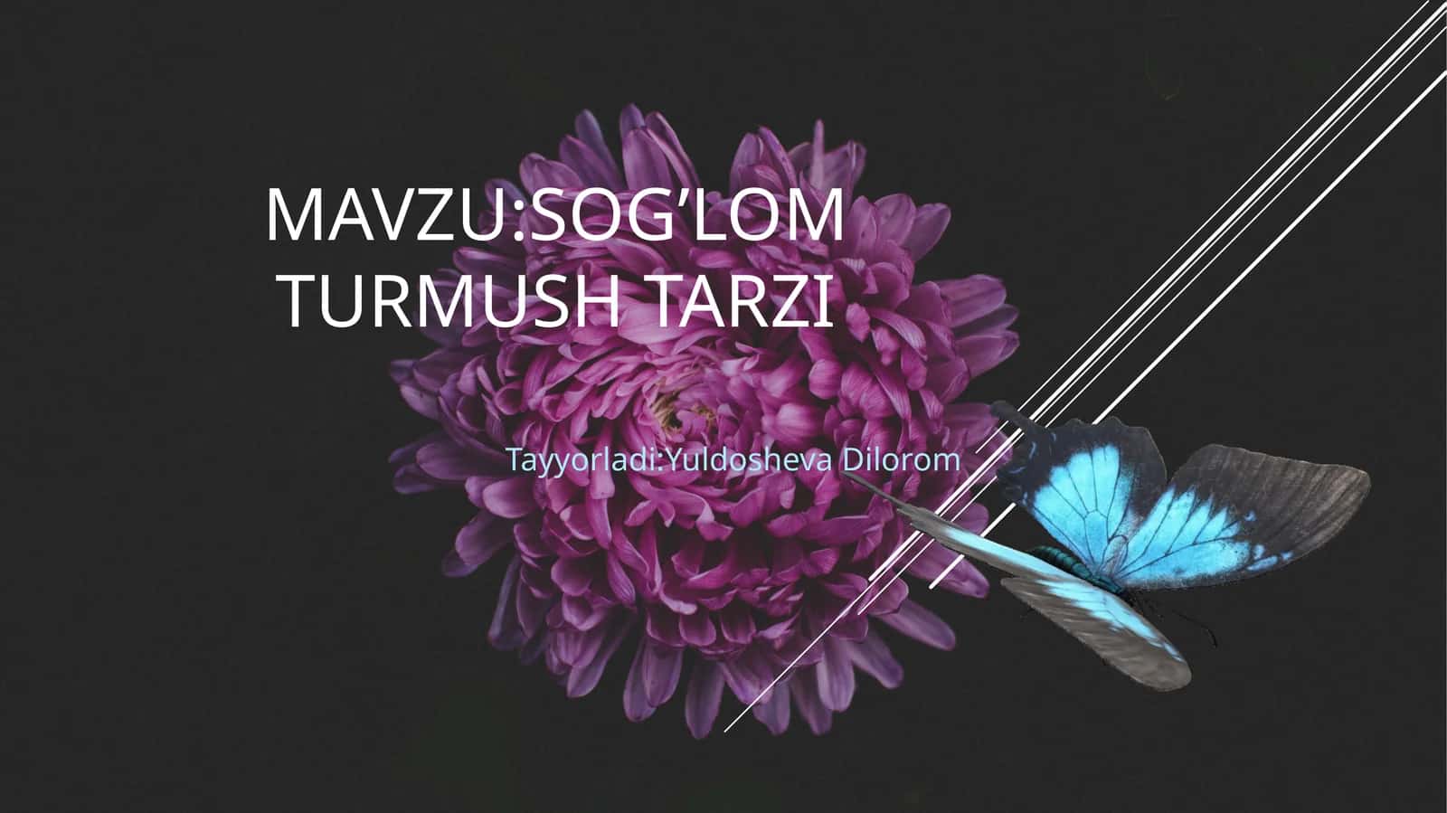 sog’lomturmushtarzi