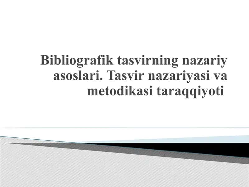 Bibliografik tasvirning nazariy asoslari. Tasvir nazariyasi va metodikasi taraqqiyoti