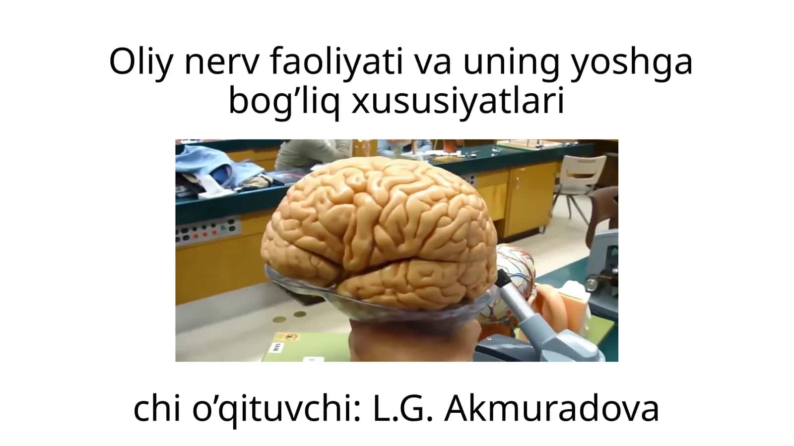 Oliy nerv faoliyati va uning yoshga bog’liq xususiyatlari