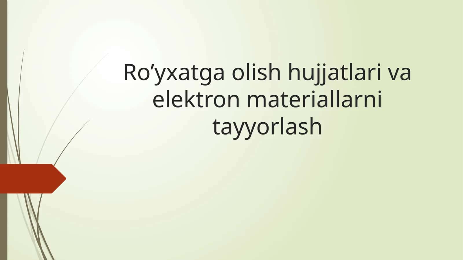 Ro’yxatga olish hujjatlari va elektron materiallarni tayyorlash