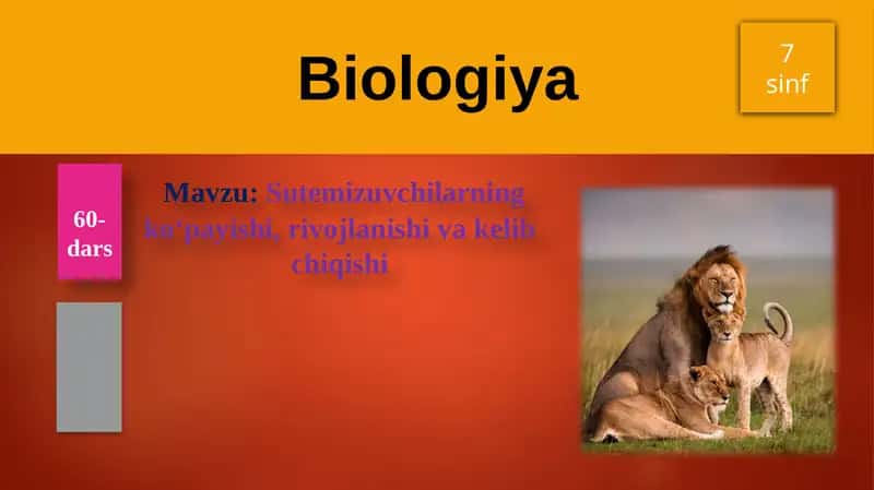 Sutemizuvchilarning ko'payishi, rivojlanishi va kelib chiqishi