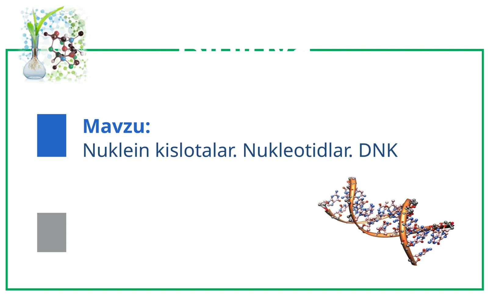 Nukleinkislotalar