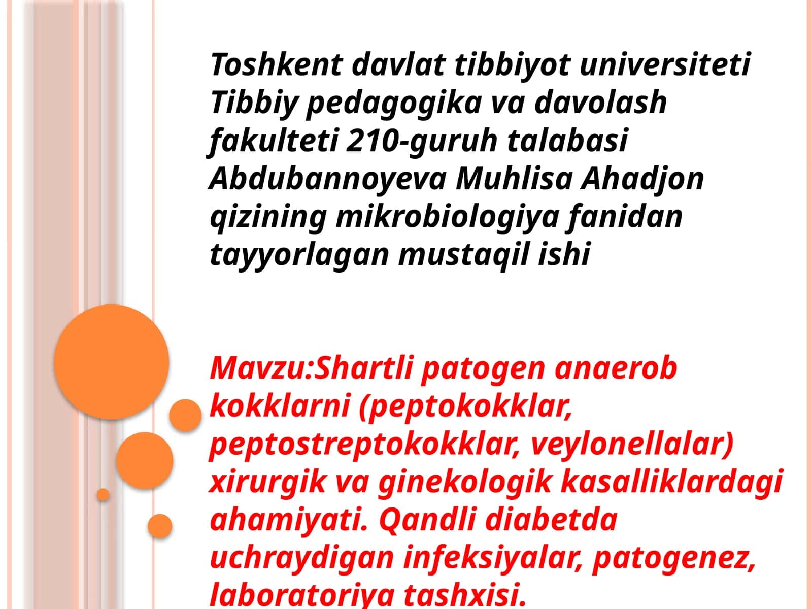 Shartli patogen anaerob kokklarni (peptokokklar, peptostreptokokklar, veylonellalar)