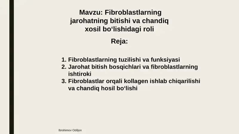 Fibroblastlarning jarohatning bitishi va chandiq xosil bo‘lishidagi roli