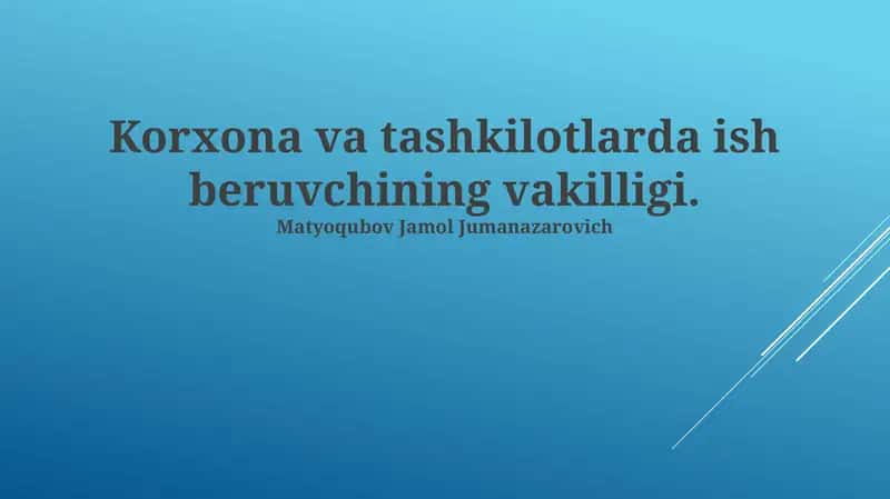 Ish beruvchining vakilligi