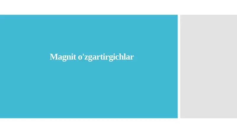 Magnit o'zgartirgichlar