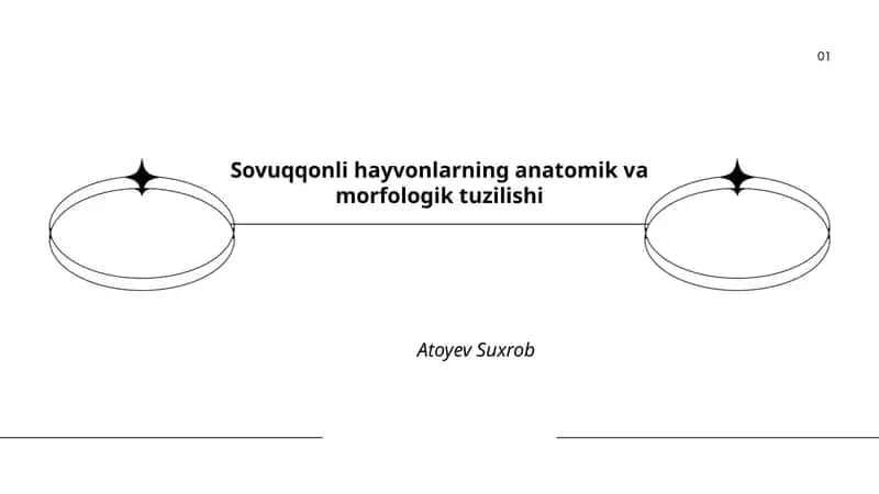 Sovuqqonli hayvonlarning anatomik va morfologik tuzilishi