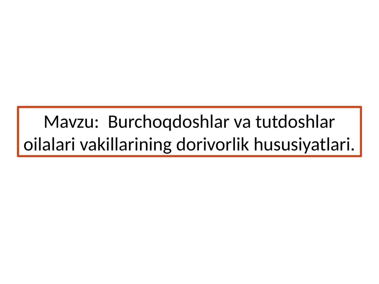 Burchoqdoshlar va tutdoshlar oilalari vakillarining dorivorlik xususiyatlari