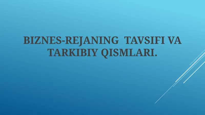 BIZNES-REJANING TAVSIFI VA TARKIBIY QISMLARI