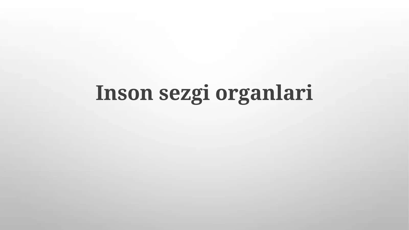 Insonsezgiorganlari