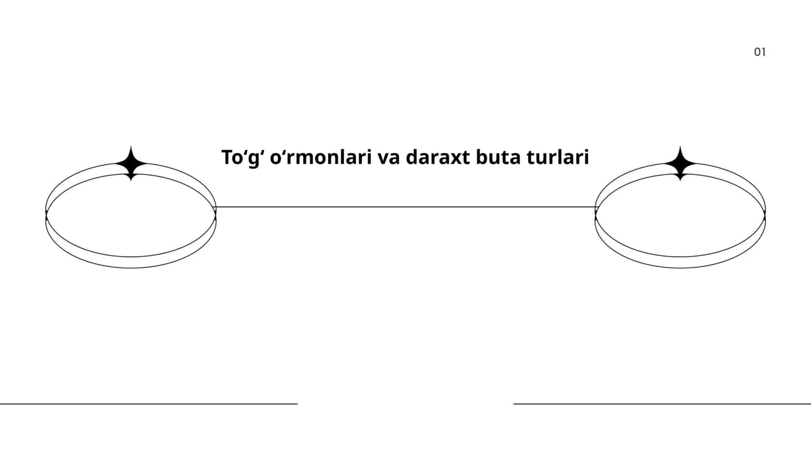 Toʻgʻ oʻrmonlari va daraxt buta turlari