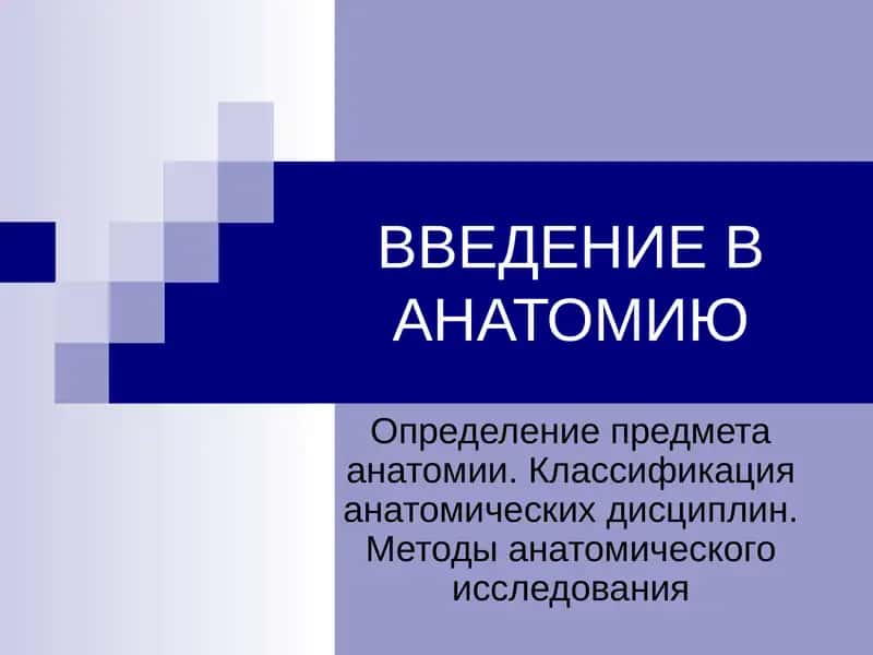 ВВЕДЕНИЕ В АНАТОМИЮ