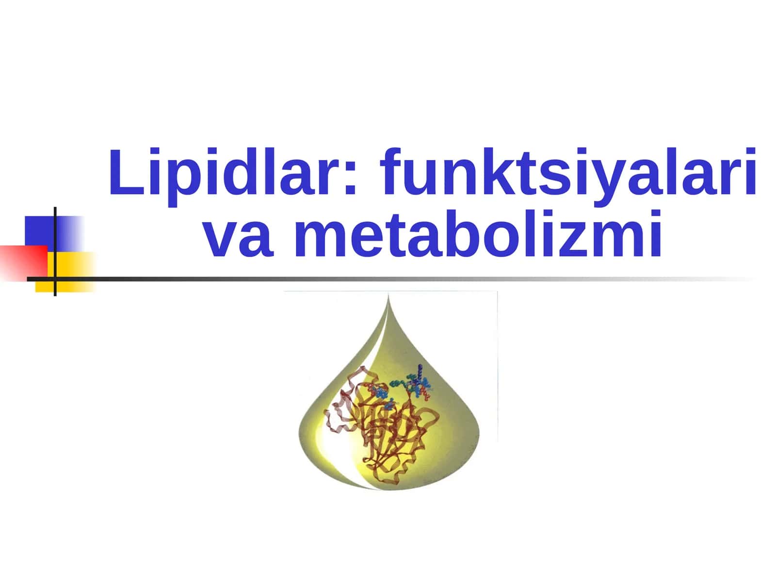 Lipidlar: funktsiyalari va metabolizmi