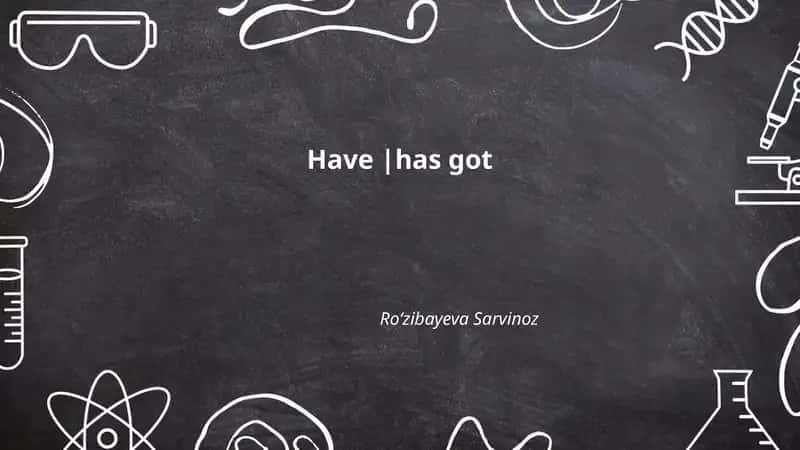 Plan: 1. Affirmative: I/We/You/They have got; He/She/It has got