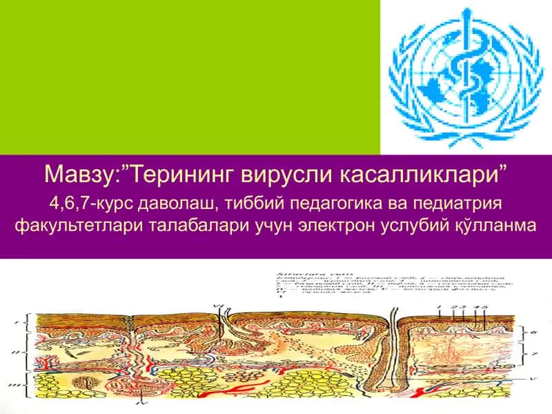 Терининг вирусли касалликлари-вирусли дерматозлар электрон услубий қўлланма