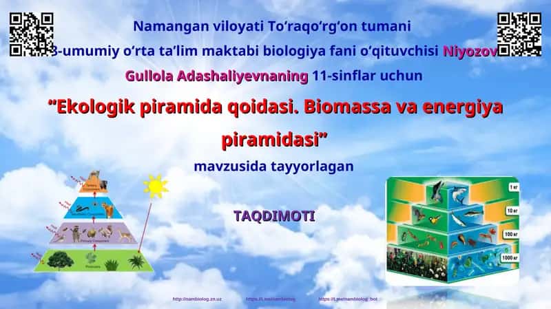 "Ekologik piramida qoidasi. Biomassa va energiya piramidasi"