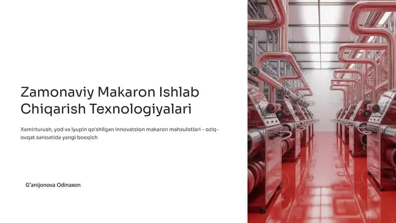Zamonaviy Makaron Ishlab Chiqarish Texnologiyalari