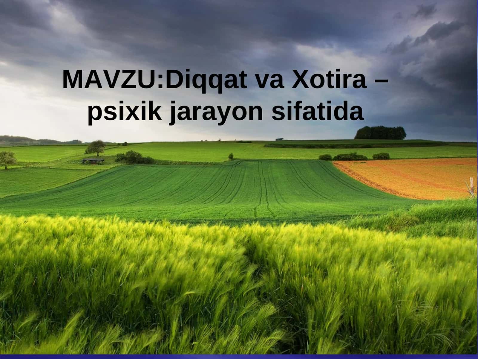 Diqqat va Xotira – psixik jarayon sifatida
