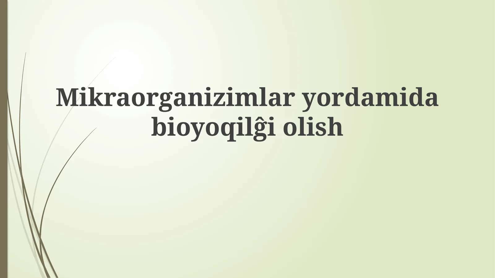Mikroorganizm yordamida bioyoqilĝi olisĝiolish