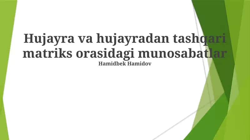 Hujayra va hujayradan tashqari matriks orasidagi munosabatlar