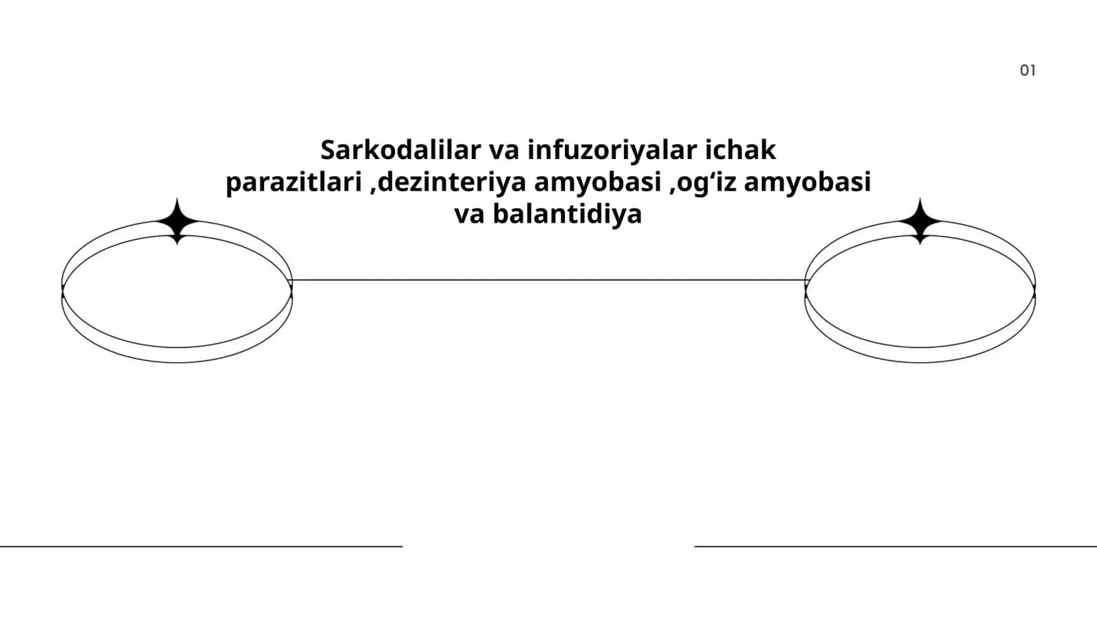 Sarkodalilar va infuzoriyalar ichak parazitlari,dezinteriya amyobasi,ogʻiz amyobasi va balantidiya