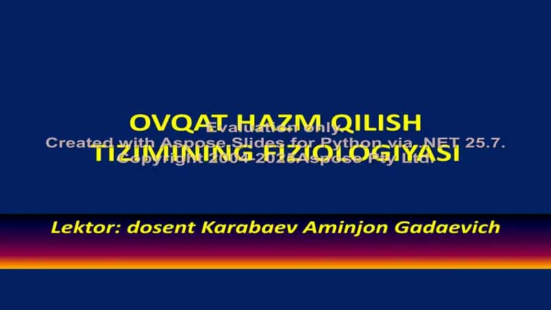 Ovqat Hazm Qilish Tizimining Fiziologiyasi