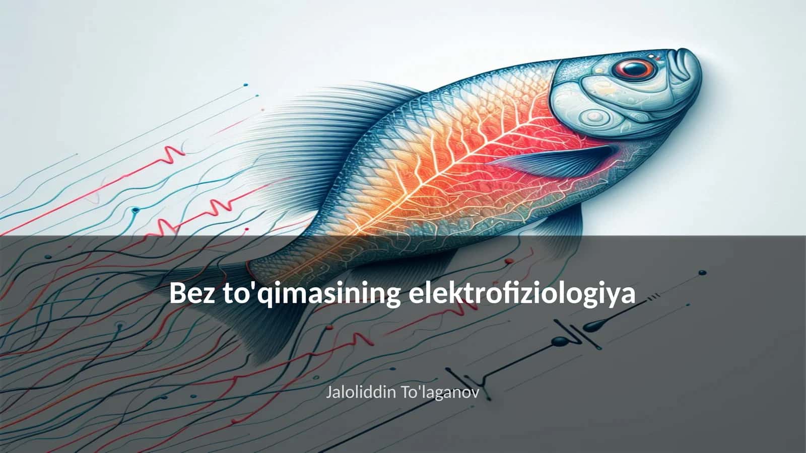 Bez to'qimasining elektrofiziologiya