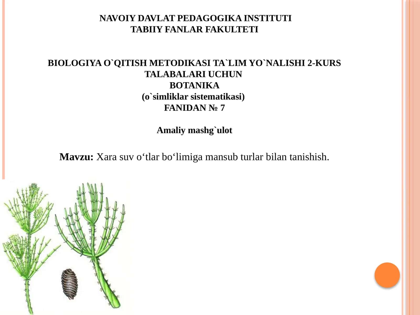 TABIIY FANLAR FAKULTETI