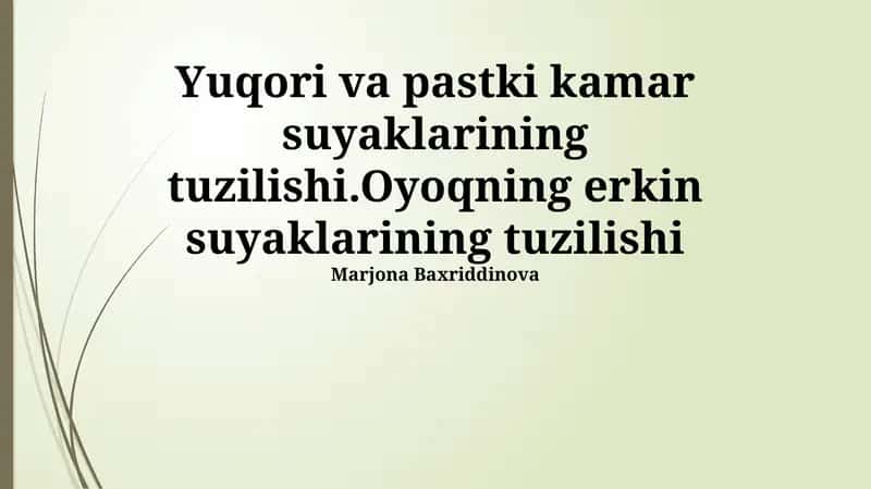 Yuqori va pastki kamar suyaklarining tuzilishi