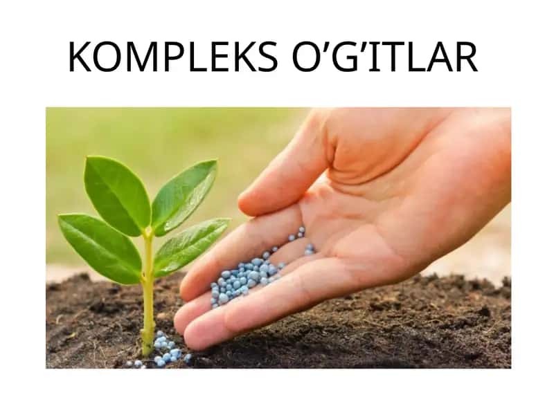 Kompleks o’gitlar