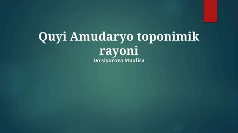 Quyi Amudaryo toponimik rayoni
