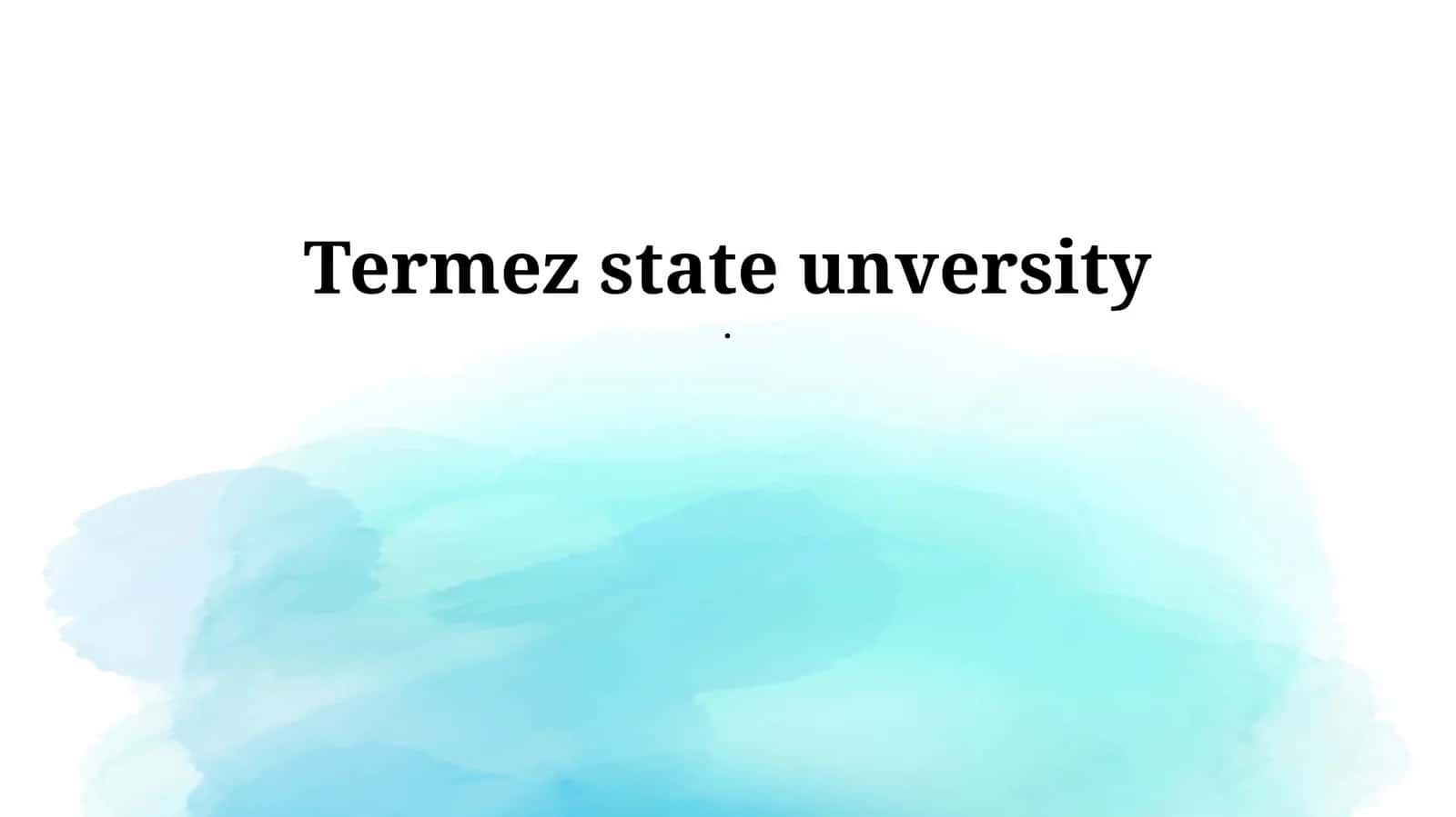 Termez State University