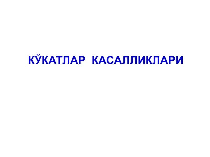 Кўкатлар касалликлари
