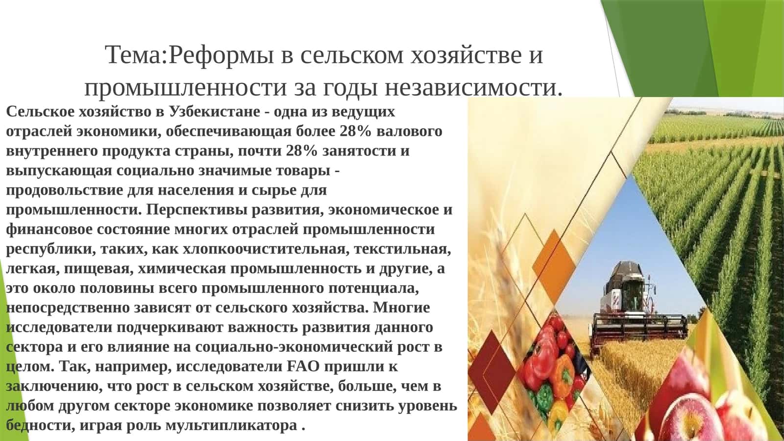 Сельское хозяйство в Узбекистане