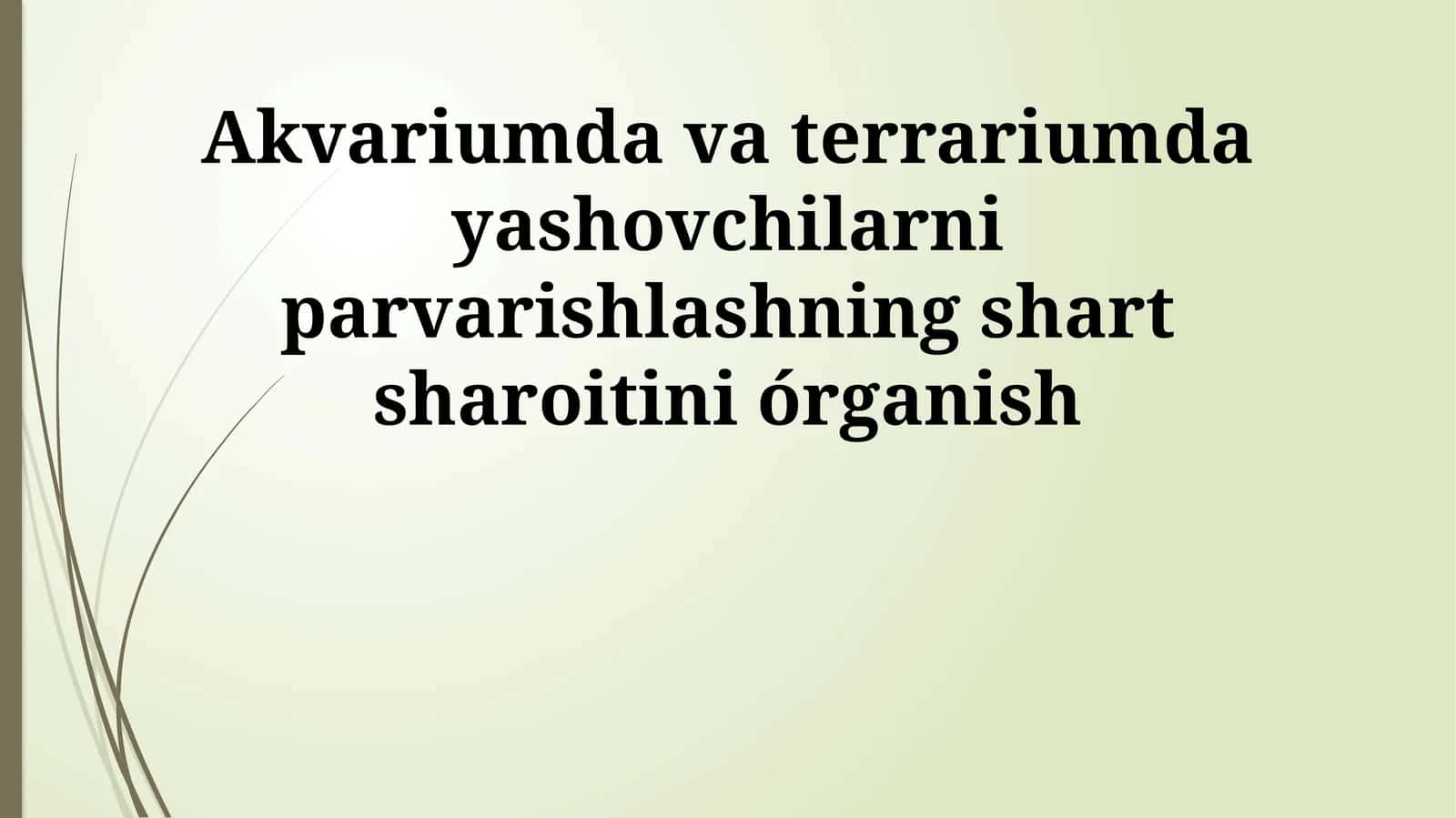 Akvariumda va terrariumda yashovchilarni parvarishlashning shart sharoitini órganish