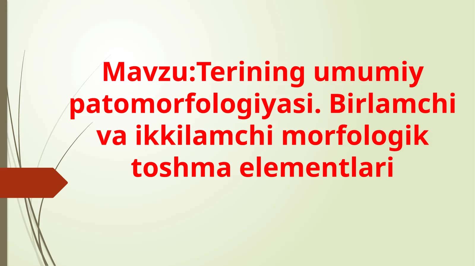 Terining umumiy patologiyasi. Birlamchi va ikkilamchi morfologik toshma elementlari