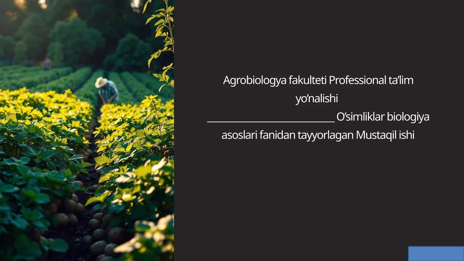 Takroriy ekin sifatida kartoshka yetishtirishning biologik asoslari