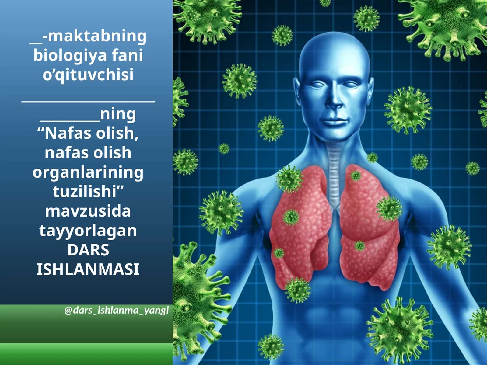 Nafasolish, nafasolish organlarining tuzilishi