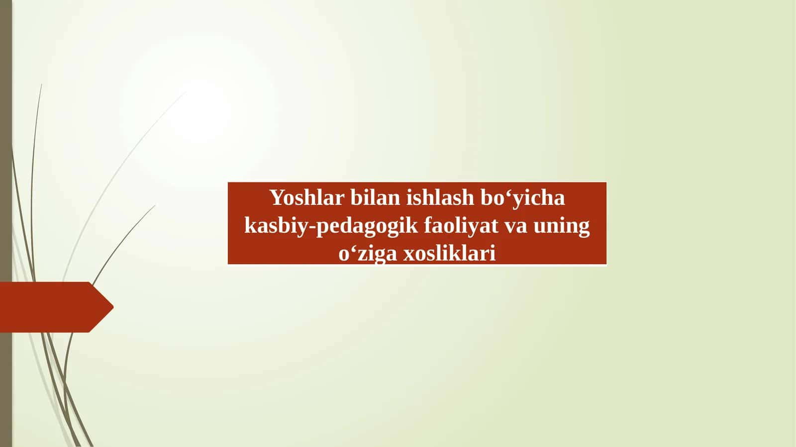 Yoshlar bilan ishlash bo‘yicha kasbiy-pedagogik faoliyat va uning o‘ziga xosliklari