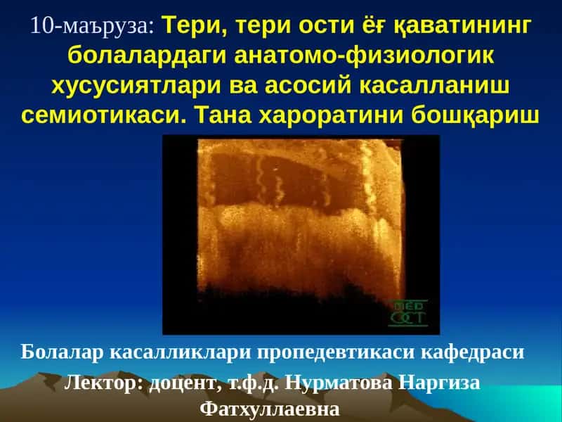 Тери тананинг анатомияси